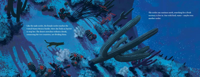 Border Crossings US - Hardback