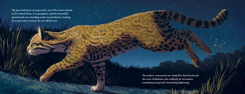 Border Crossings US - Hardback