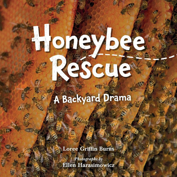 Honeybee Rescue-Children’s / Teenage general interest: Nature and animals-買書書 BuyBookBook