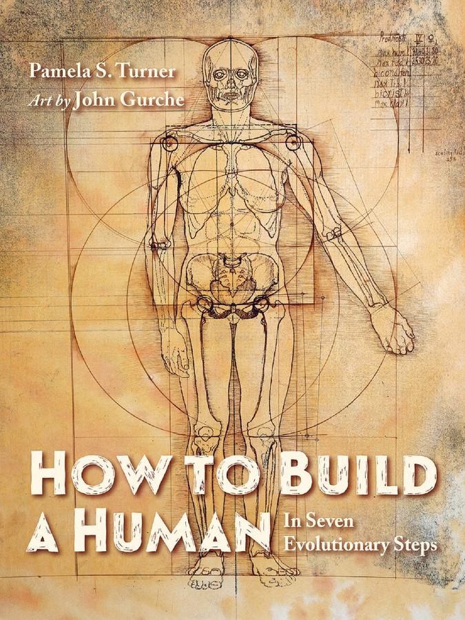 How to Build a Human-Children’s / Teenage general interest: History and Warfare-買書書 BuyBookBook