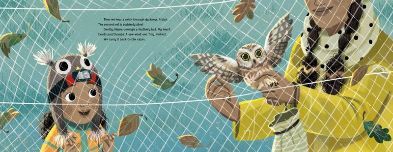 Night Owl Night US - Hardback