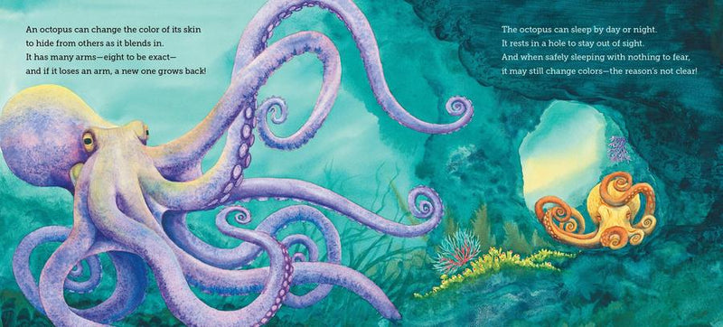 Where Do Ocean Creatures Sleep at Night? US - Hardback