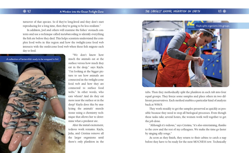 A Window into the Ocean Twilight Zone US - Hardback