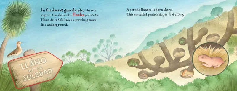 Not a Dog US - Hardback