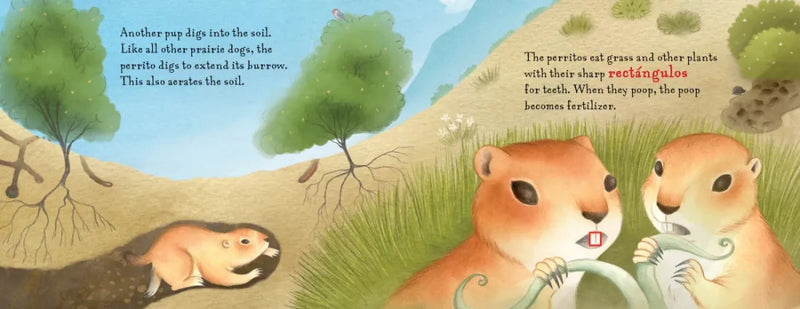 Not a Dog US - Hardback