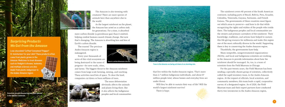3 Weeks in the Rainforest US - Hardback