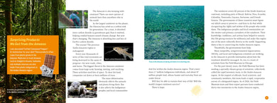 3 Weeks in the Rainforest US - Hardback