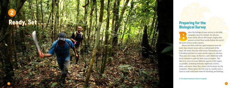 3 Weeks in the Rainforest US - Hardback