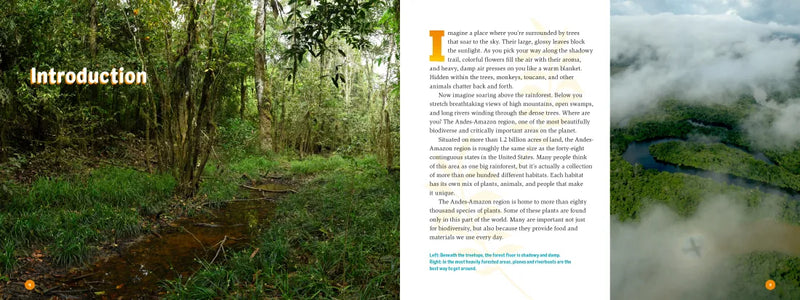 3 Weeks in the Rainforest US - Hardback