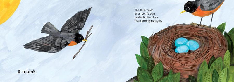 Whose Egg Is That? US - Hardback