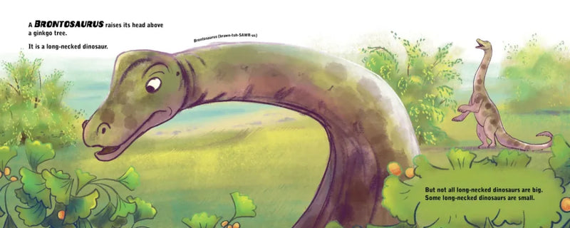 Dinosaurs Can Be Small US - Hardback