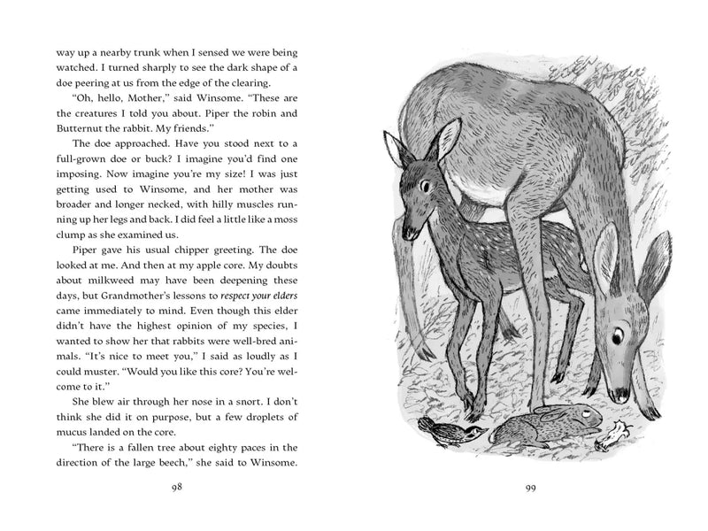 The Remarkable Rescue at Milkweed Meadow US - Hardback