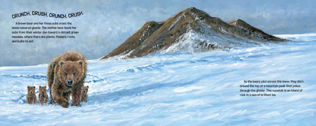 Glaciers Are Alive US - Hardback