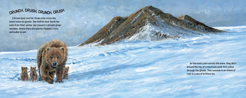 Glaciers Are Alive US - Hardback