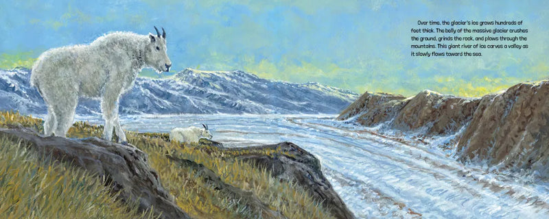 Glaciers Are Alive US - Hardback