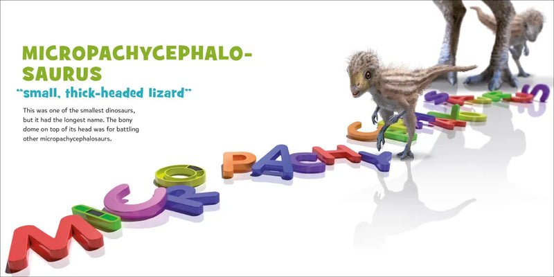 Big Babies US - Hardback