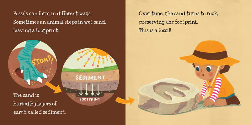 Baby Loves Paleontology US - Board book