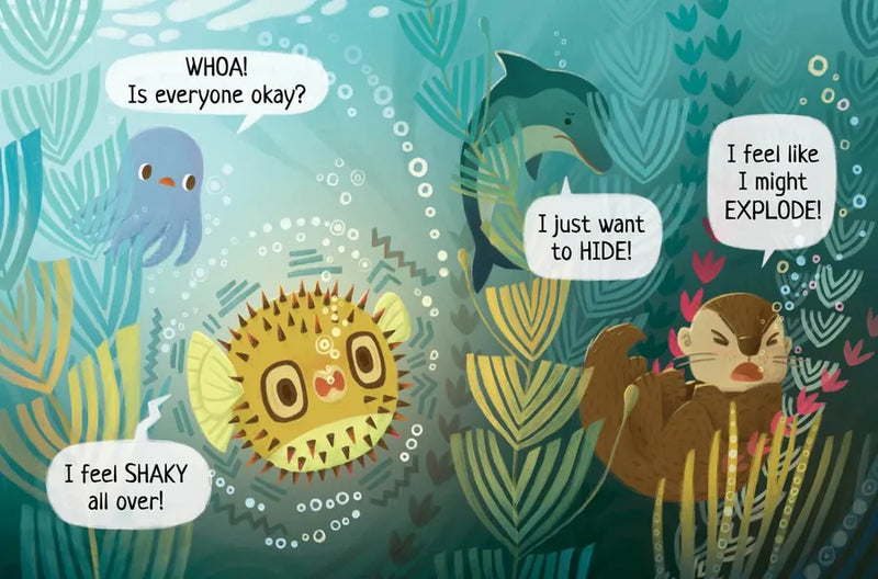 Chicken Soup for the Soul BABIES: Big Emotions (Bubble Up) US - Board book