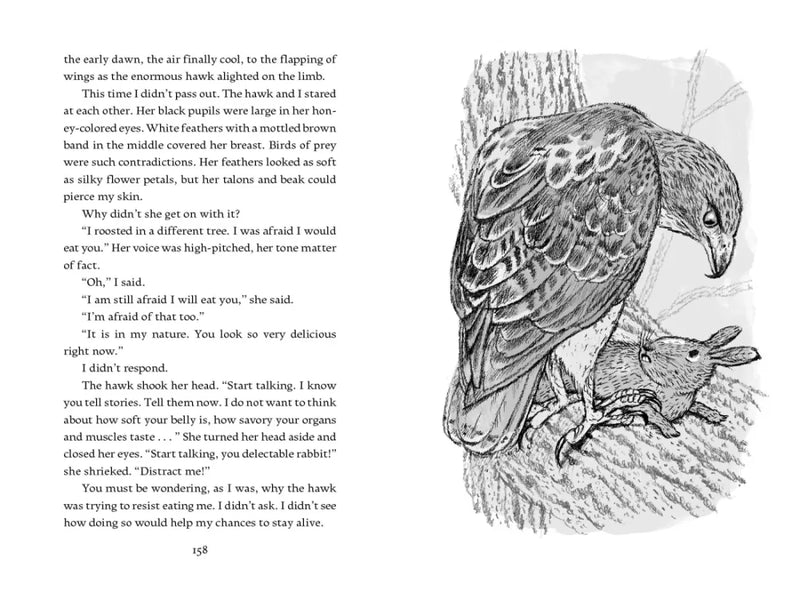 The Perilous Performance at Milkweed Meadow US - Hardback