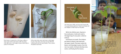 Planting a Garden in Room 6 US - Paperback / softback