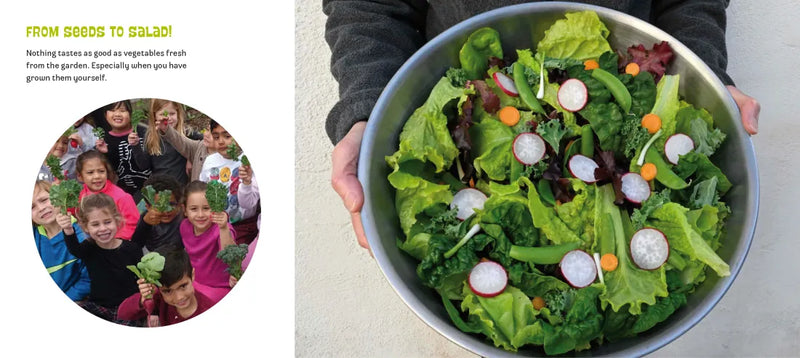 Planting a Garden in Room 6 US - Paperback / softback