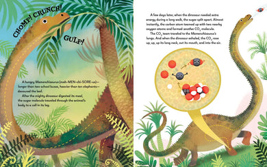 From BAM! to BURP! US - Hardback