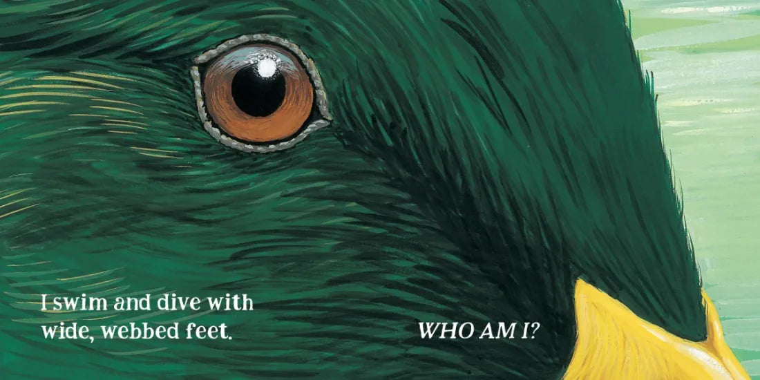 Eye Guess US - Board book