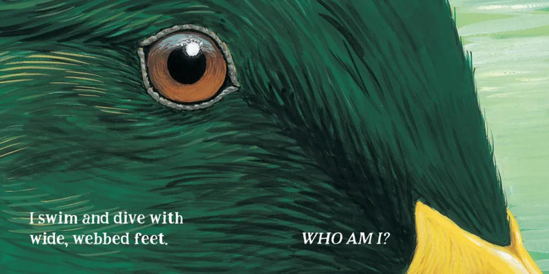 Eye Guess US - Board book