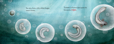No es un monstruo (Spanish Edition) interior 1 (ISBN 9781623544836)