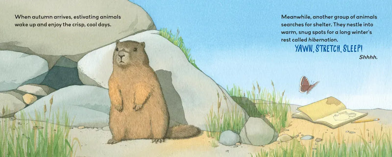 Summertime Sleepers US - Paperback / softback