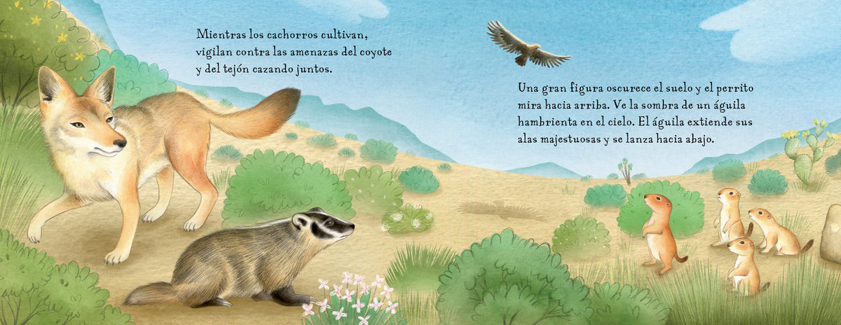 No es un perro (Spanish Edition) interior 1 (ISBN 9781623544928)