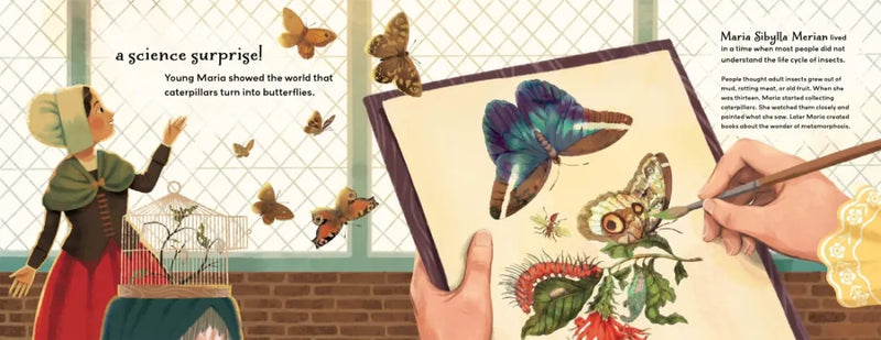 What's in Your Pocket? US - Paperback / softback