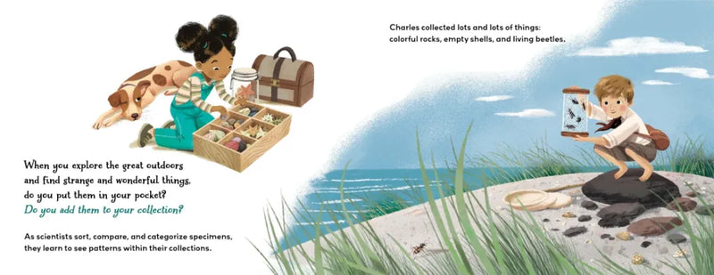 What's in Your Pocket? US - Paperback / softback