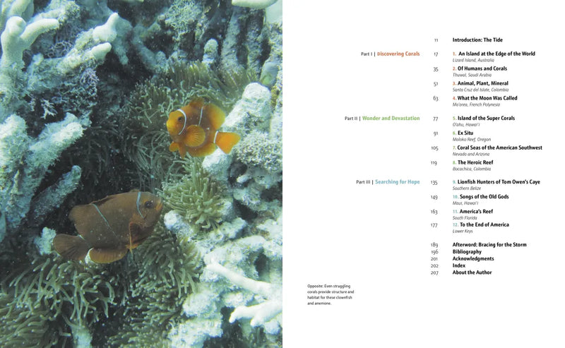 The Lost Continent US - Hardback