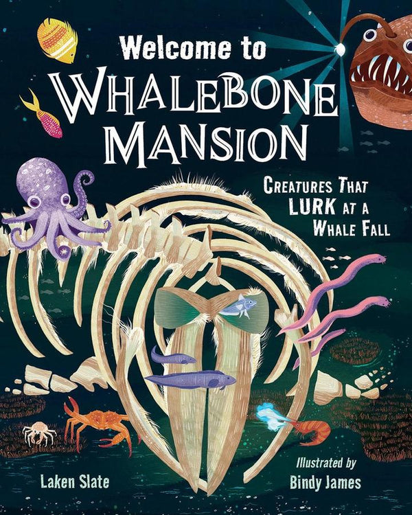 Welcome to Whalebone Mansion-Children’s / Teenage general interest: Nature and animals-買書書 BuyBookBook