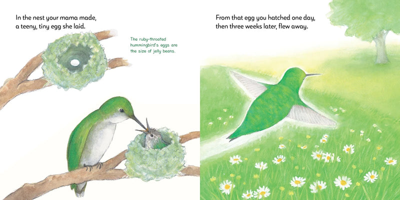 Born Inside a Nest So Small US - Hardback