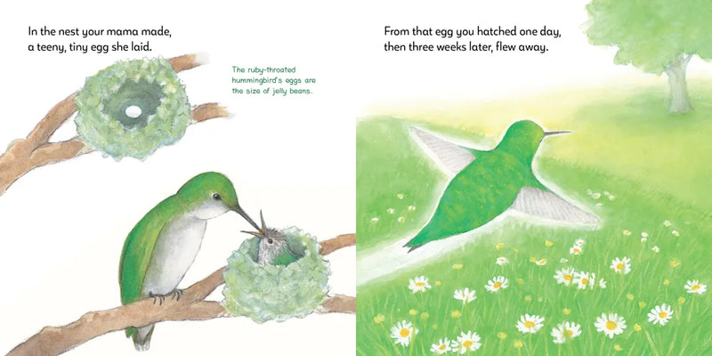 Born Inside a Nest So Small US - Hardback