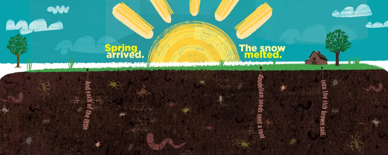 Moving Words About a Flower US - Paperback / softback