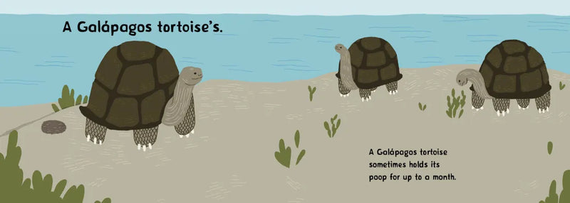 Whose Poop Is That? US - Board book