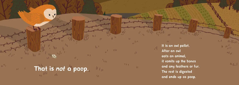 Whose Poop Is That? US - Board book