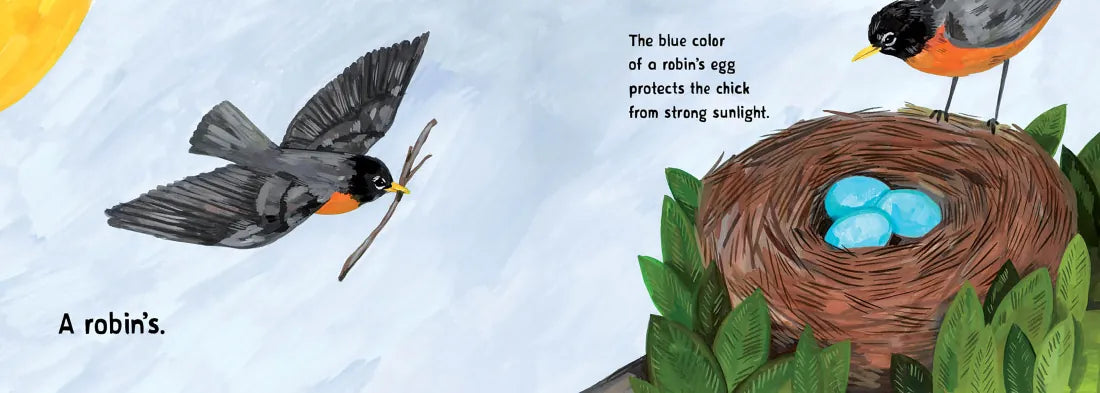 Whose Egg Is That? US - Board book