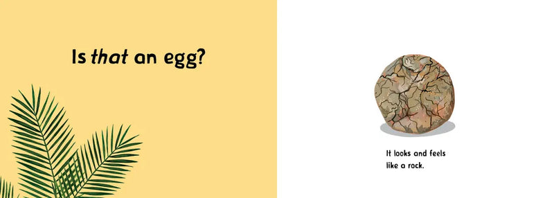 Whose Egg Is That? US - Board book