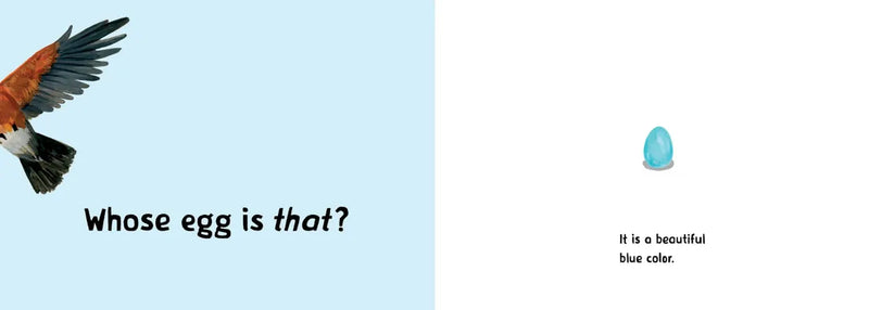 Whose Egg Is That? US - Board book