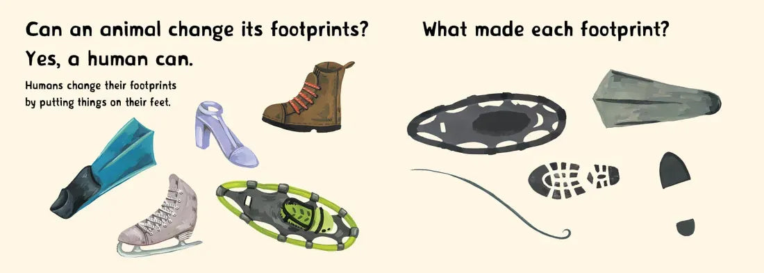 Whose Footprint Is That? US - Board book