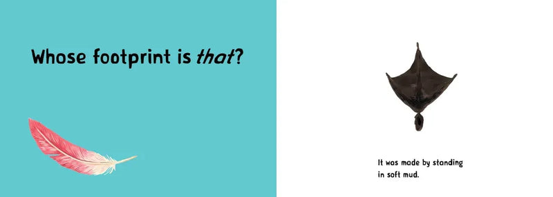 Whose Footprint Is That? US - Board book