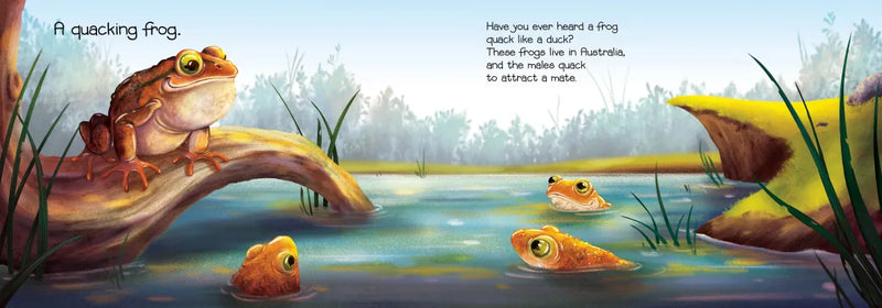 Who's Making All That NOISE?! US - Hardback