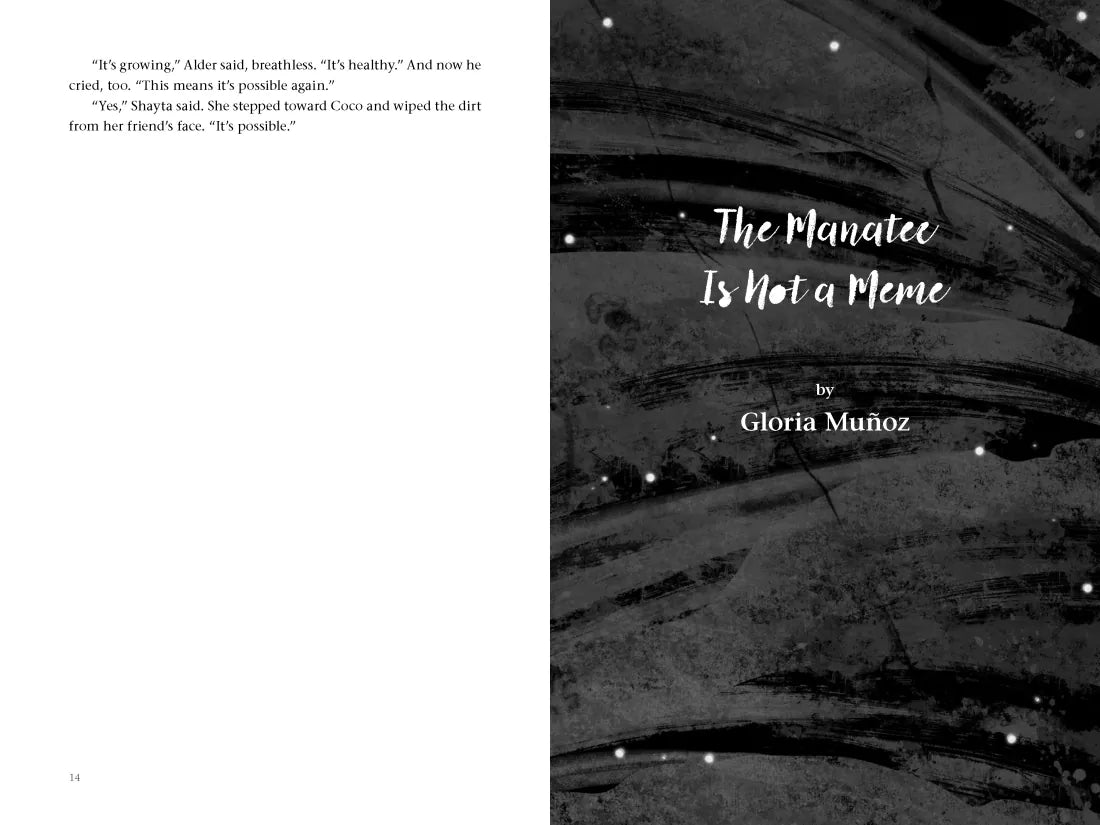 Onward US - Hardback