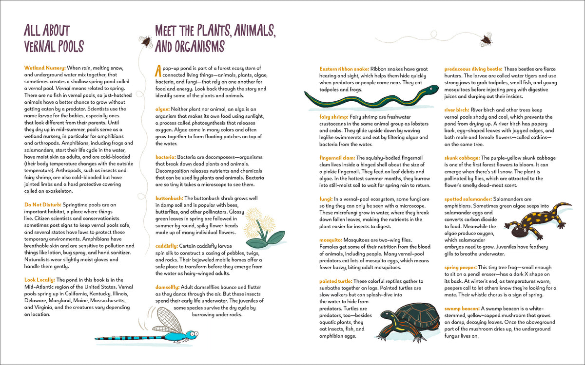 Pop-Up Pond interior 2 (ISBN 9781623547271)