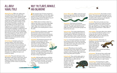 Pop-Up Pond interior 2 (ISBN 9781623547271)