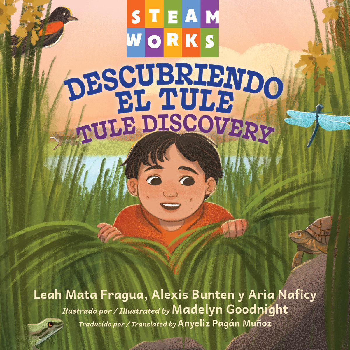 Descubriendo el tule / Tule Discovery (Spanish-English Bilingual Edition) cover (ISBN 9781623547639)